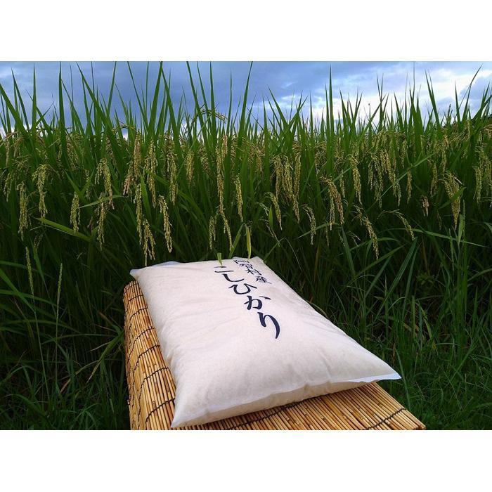 【ふるさと納税】【容量選択可能 5kg/10kg】 米 こしひかり 10kg 定期便 | コメ お米 令和7年 白米 精米 長野 南信州 ふるさと納税 コシヒカリ 阿智村 人気 おすすめ 送料無料 お取り寄せ ふるさと納税 米 ふるさと 長野 - 画像2