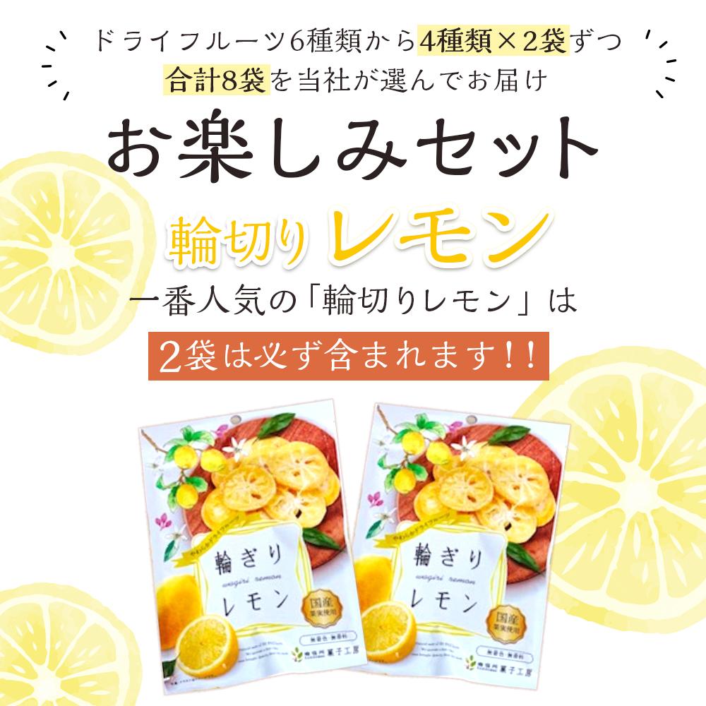 【ふるさと納税】やわらかドライフルーツ（国産原料）中袋 4種×2袋お楽しみセット ｜ フルーツ お菓子 おつまみ 果物 レモン リンゴ はっさく みかん ゆず うめ 国産 長野 信州 サムネイル2