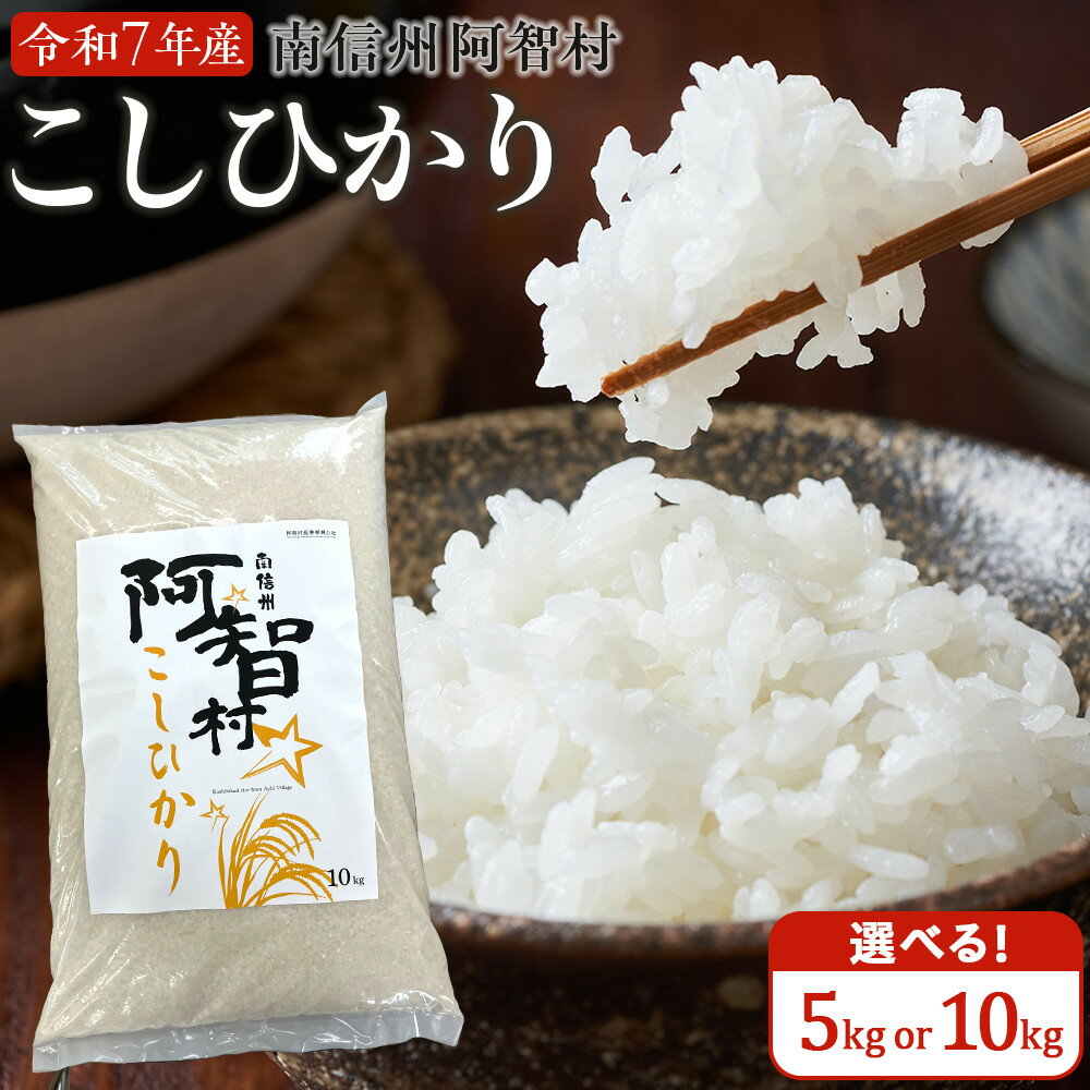 【容量選択可能 5kg/10kg】 米 こしひかり 10kg 定期便 | コメ お米 令和7年 白米 精米 長野 南信州 ふるさと納税 コシヒカリ 阿智村 人気 おすすめ 送料無料 お取り寄せ ふるさと納税 米 ふるさと 長野