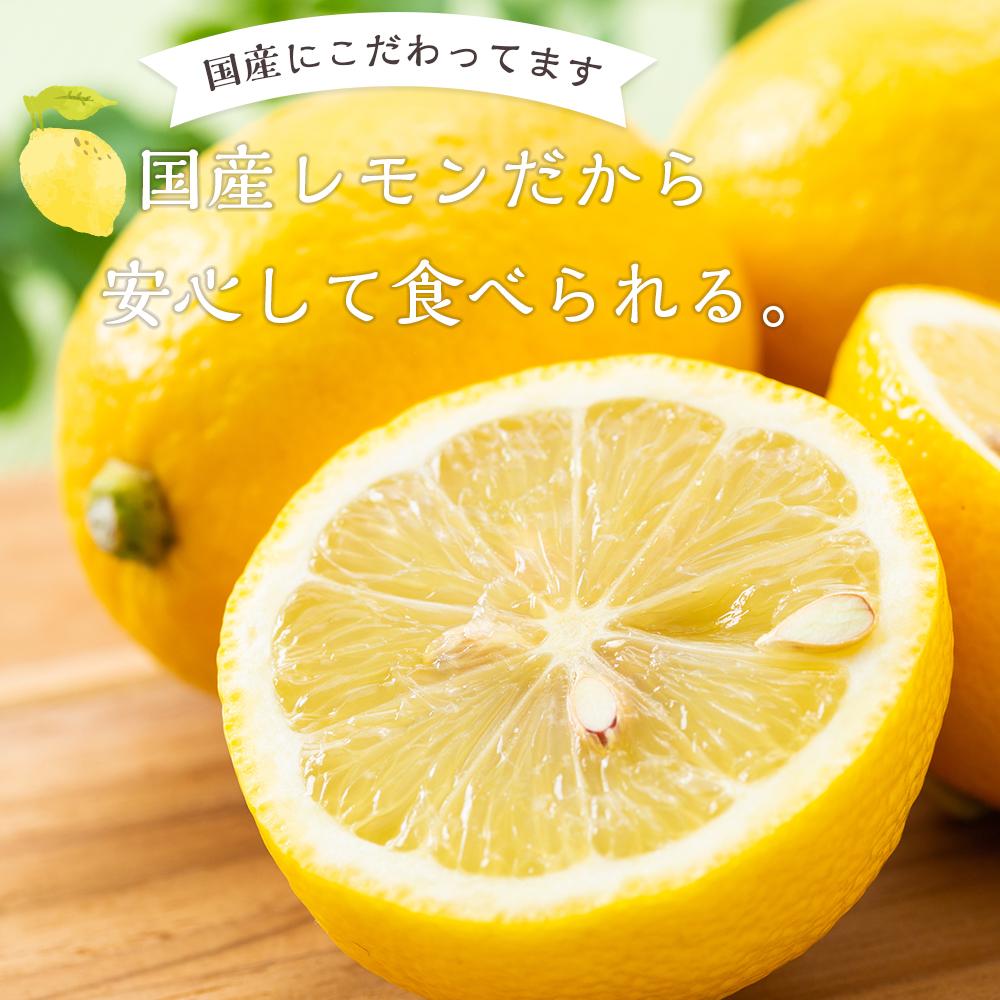 【ふるさと納税】やわらか ドライフルーツ 輪ぎり レモン（国産) 大袋 5袋パック ｜ フルーツ お菓子 おつまみ 果物 レモン 小分け 国産 長野 信州 サムネイル3