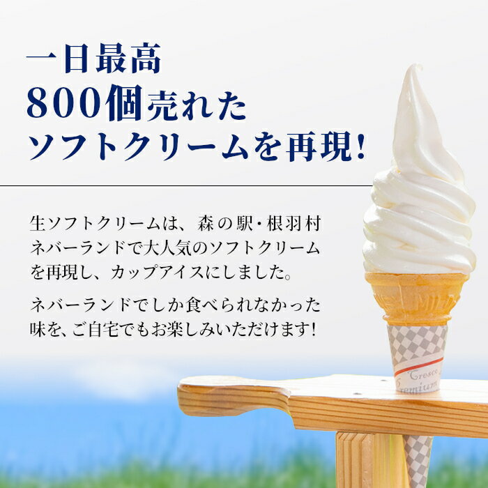 【ふるさと納税】【母の日 熨斗対応】安心な着色料不使用！生ソフトクリーム＆バニラアイス 7個入り80ml アイスクリーム ギフト 生乳 ミルク スイーツ アイス ギフト 贈り物 お祝い バニラアイス ミルクアイス 高級 長野県 根羽村 詰め合わせ ソフトクリーム 母の日 5000円 - 画像3