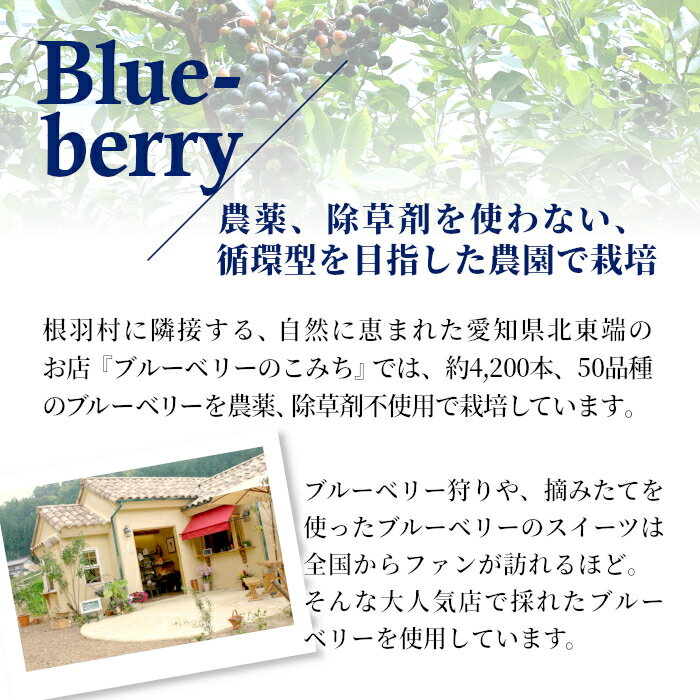 【ふるさと納税】無農薬！除草剤不使用 稲武のブルーベリー アイス 7個入り80ml アイスクリーム 詰め合わせ 即日発送 ギフト 高級 生乳 ブルーベリー ソフトクリーム アイス フルーツ スイーツ 長野県 根羽村 5000円 5000円以内 - 画像3