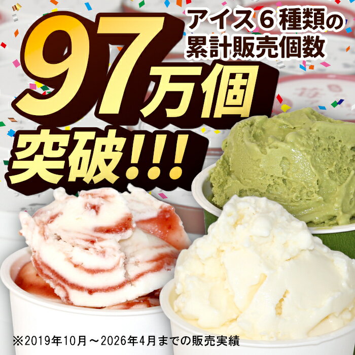【ふるさと納税】【母の日 熨斗対応】着色料・香料不使用！6種類のアイス 詰め合わせ 7個入り 80ml アイスクリーム ギフト 高級 生ソフト バニラ りんご いちご ブルーベリー 西尾 ミルク アソート 生乳 スイーツ 贈り物 お祝い 長野県 根羽村 ソフトクリーム 5000円 - 画像3