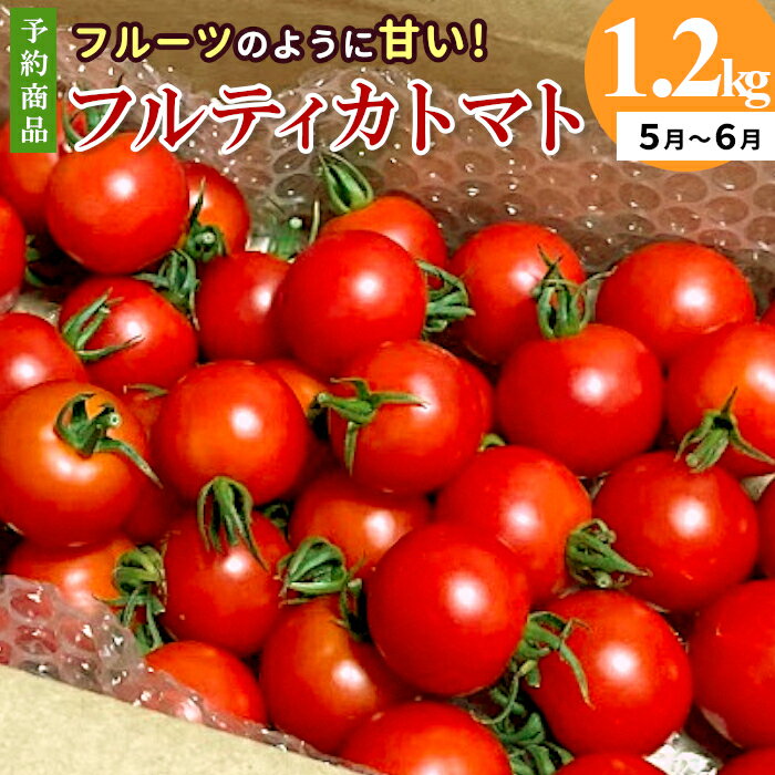 【先行予約】2026年5月～6月発送★フルーツのように甘い フルティカトマト 1.2kg 令和8年度産 割れ保障付 数量限定 トマト 定番 人気 高評価 中玉 フルーツ フルーツトマト トマト ミニトマト オンライン申請 5000円 5,000円
