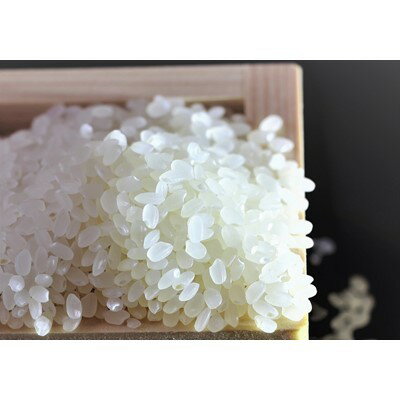 【ふるさと納税】【令和7年産】うるぎ米 10kg【1547247】 - 画像3