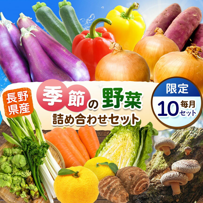 【定期便5回】季節の野菜セット | 詰め合わせ セット 野菜 野菜セット 農産物 野菜類 詰合せ セット 長野県 天龍 てんりゅう