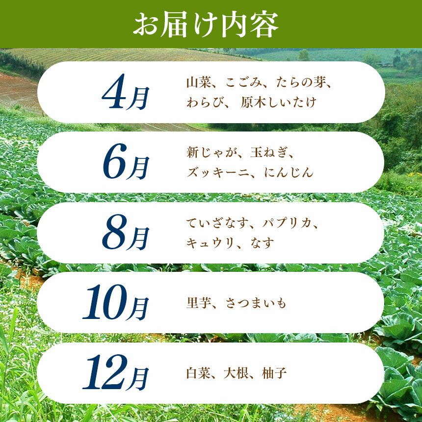 【ふるさと納税】【定期便5回】季節の野菜セット | 詰め合わせ セット 野菜 野菜セット 農産物 野菜類 詰合せ セット 長野県 天龍 てんりゅう - 画像2
