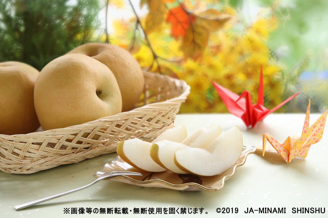 【ふるさと納税】【令和7年度発送】7-J28 冷蔵 梨 南水 【太鼓判・優糖生】約2.5kg 2.5kg 糖度 光センサー 11月 12月 南信州 喬木村 サムネイル2