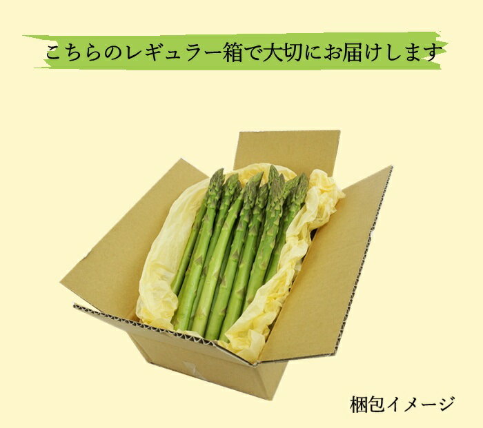 【ふるさと納税】【令和8年度発送先行予約品】8-J31 南信州産　春のアスパラガス　ふとっちょ3Lサイズ　700g袋入り　アスパラ　アスパラガス　3L　700g - 画像2