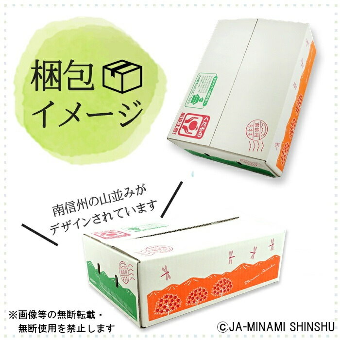 【ふるさと納税】【令和8年度発送先行予約品】8-J32 クイーンルージュ®＆シャインマスカット 秀品 約1.2kg (各1房)　クイーンルージュ シャインマスカット 2種類 1房 ずつ サムネイル2