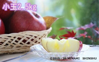 7-J13 サンふじ（小玉）約2.5kg サンふじ 小玉 2.5kg