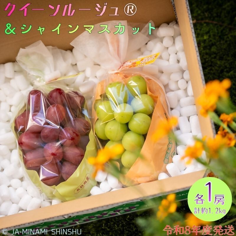 【令和8年度発送先行予約品】8-J32 クイーンルージュ®＆シャインマスカット 秀品 約1.2kg (各1房)　クイーンルージュ シャインマスカット 2種類 1房 ずつ