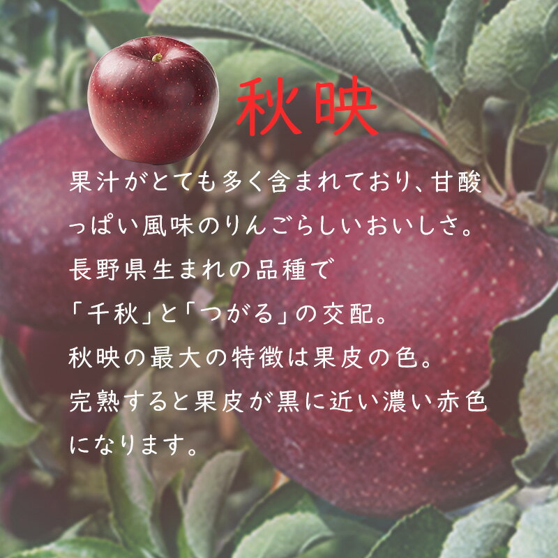 【ふるさと納税】 訳あり りんご 5kg 【若手生産者応援】 秋映 川上啓介 果物 フルーツ 先行 予約 信州 麻績村 不揃い 規格外 家庭用 サムネイル2