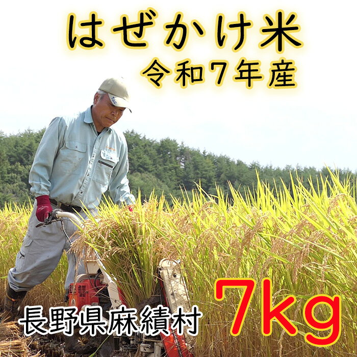 令和7年 米 はぜかけ米 予約 7kg 自然乾燥 天日乾燥 長野 麻績村 5kg + 2kg はざかけ米 信州 長野県 麻績 令和7年産