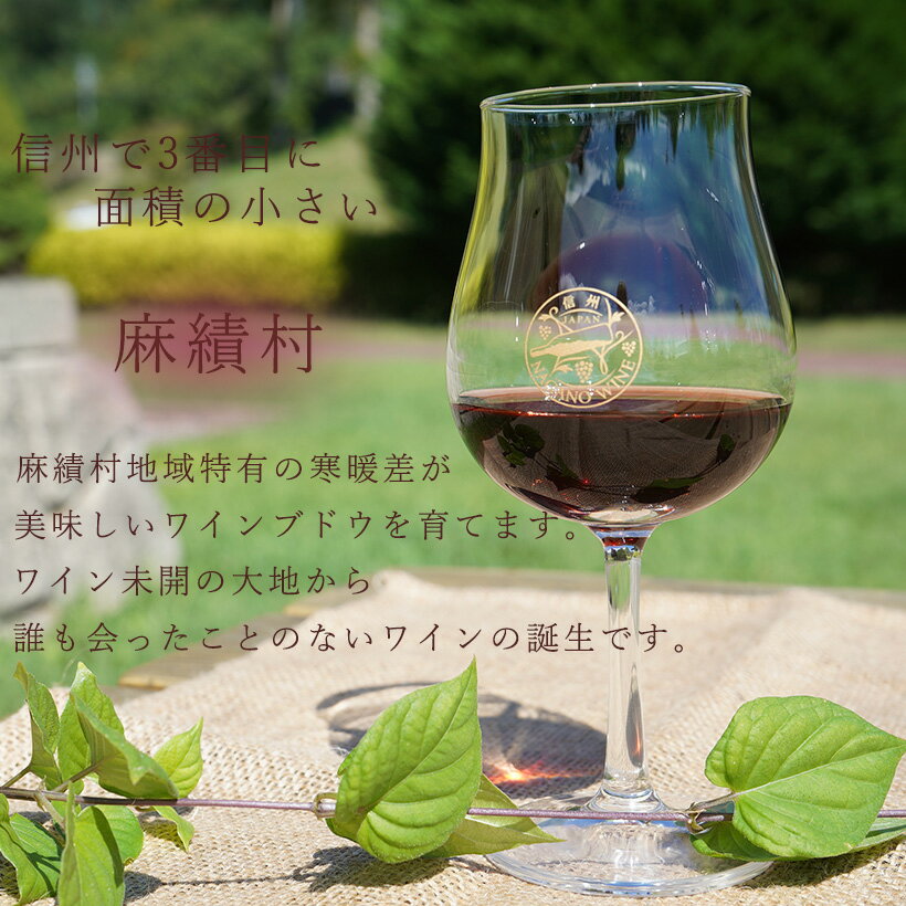【ふるさと納税】麻績村 赤ワイン フルボディ お酒 アルコール 度数13.5％ 750ml 【WM2023フルボディ】 数量限定 お中元 お歳暮 ブルーラベル サムネイル2
