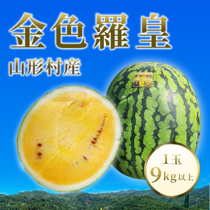 先行予約 すいか スイカ 西瓜 金色羅皇 こんじきらおう 希少 人気 新品種 黄色 ゴールド 数量限定 糖度 大玉 山形村産 金色羅皇 1玉（9kg以上）中川農園 3209