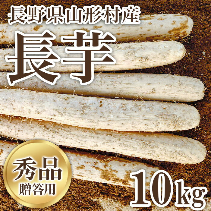 3214 信州山形村産 長いも 秀 10kg