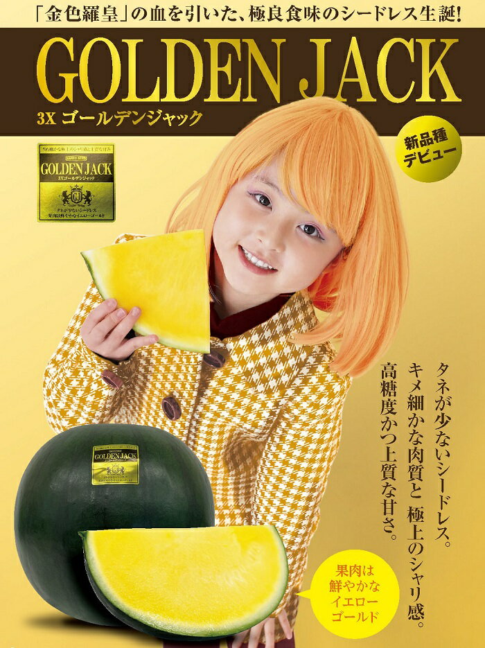 すいか スイカ 西瓜 ゴールデンジャック 種なし 大玉 金色 1玉 甘い 黄色 山形村 長野県 新品種 山形村産 ゴールデンジャック 1玉（9kg以上）中川農園 3212