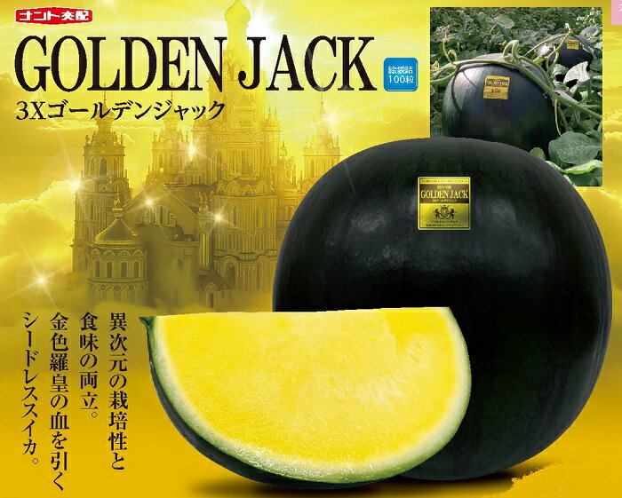 【ふるさと納税】すいか スイカ 西瓜 ゴールデンジャック 種なし 大玉 金色 1玉 甘い 黄色 山形村 長野県 新品種 山形村産 ゴールデンジャック 1玉（9kg以上）中川農園 3212 サムネイル2