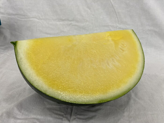 【ふるさと納税】すいか スイカ 西瓜 ゴールデンジャック 種なし 大玉 金色 1玉 甘い 黄色 山形村 長野県 新品種 山形村産 ゴールデンジャック 1玉（9kg以上）中川農園 3212 サムネイル3