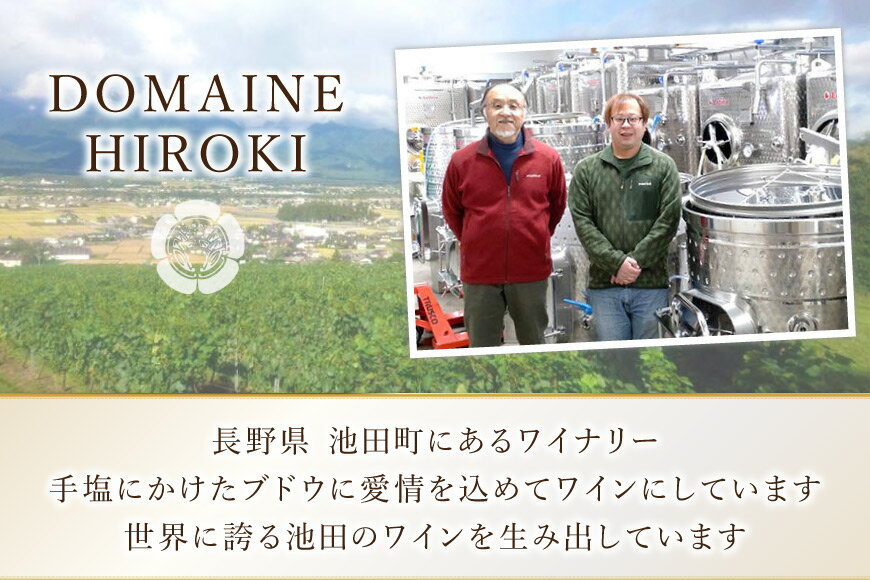 【ふるさと納税】 ロゼワイン メルロー ロゼ 750ml 1本 [ヴィニョブル安曇野 長野県 池田町 48110728] ギフト ワイン サムネイル3