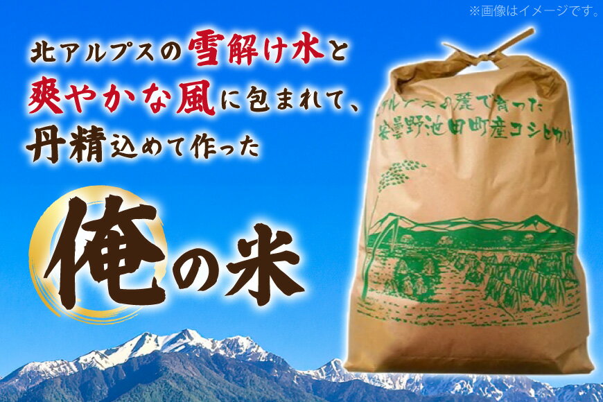【ふるさと納税】 【俺の米】米 令和7年 コシヒカリ 精米 11kg [薄井 大地 長野県 池田町 48110784] お米 白米 ごはん こしひかり 美味しい 農家 直送 - 画像2