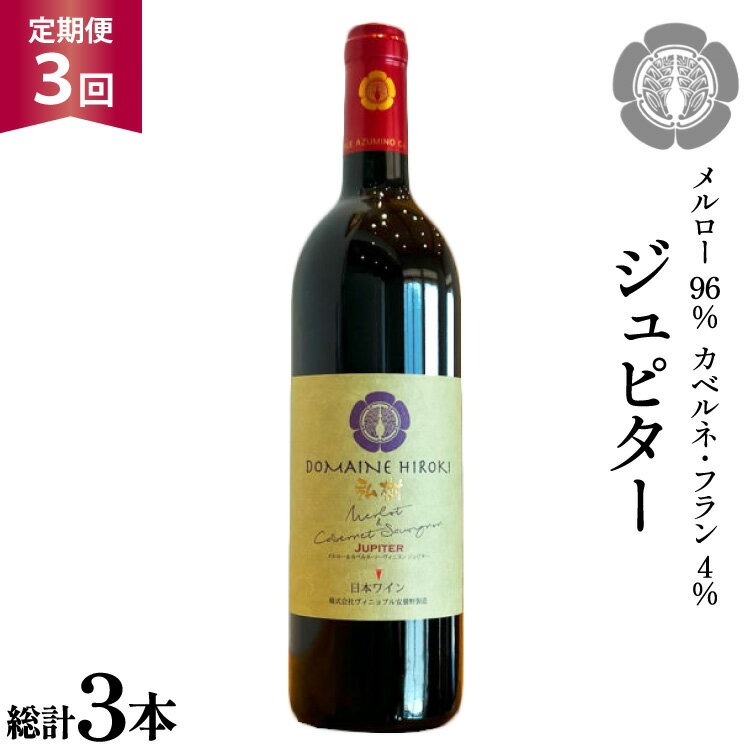 3回 定期便 ワイン ジュピター 750ml×1本 計3本 [ ヴィニョブル安曇野(ドメーヌ・ヒロキ) 長野県 池田町 48110812] ワイン 赤 赤ワイン