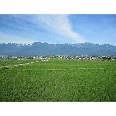 【ふるさと納税】米 コシヒカリ 金の鈴米 10kg [池田町観光協会 長野県 池田町 48110005] お米 こしひかり 美味しい 池田町産 はぜ掛け米 はぜかけ米 - 画像3