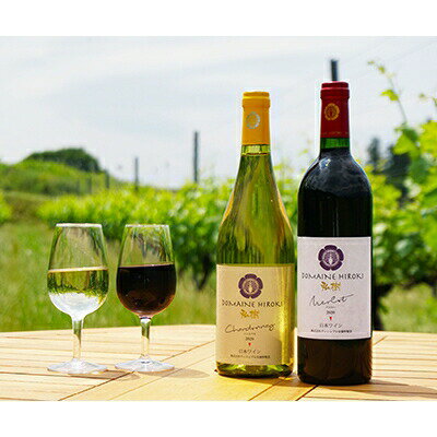【ふるさと納税】 【自社農園100％】 ワイン 白 赤 シャルドネとメルローのセット 750ml×2本 [ヴィニョブル安曇野（ドメーヌ・ヒロキ） 長野県 池田町 48110822] 白ワイン 赤ワイン お酒 酒 サムネイル2