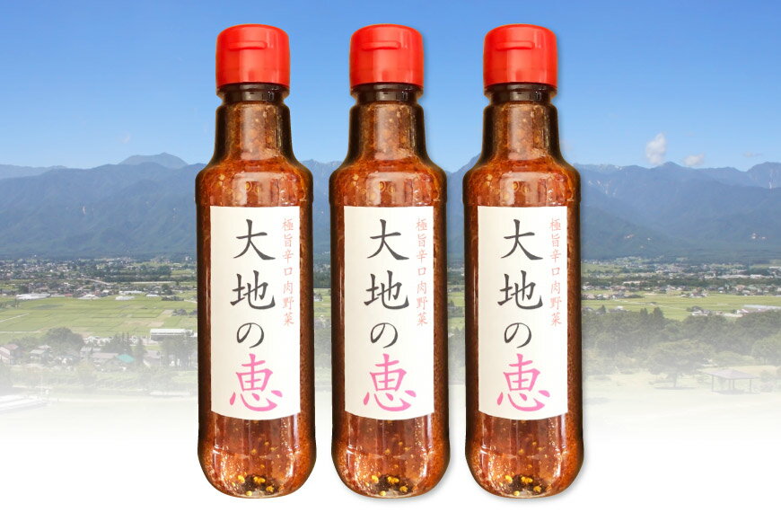 【ふるさと納税】 ドレッシング 大地の恵 中辛 200ml 計3本 [矢口農園 長野県 池田町 48110488] にんにく サムネイル2