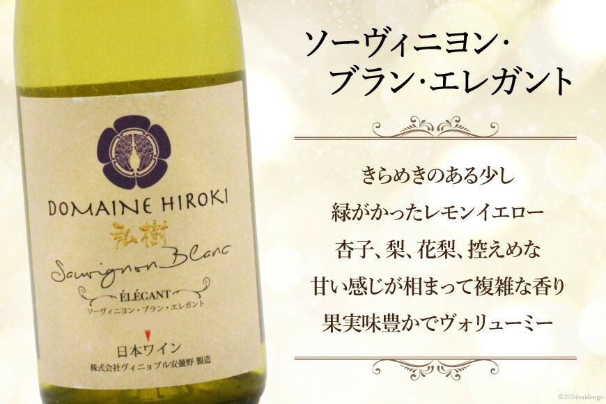 【ふるさと納税】 ワイン 白 ソーヴィニヨン ブラン エレガント 750ml×1本 [ヴィニョブル安曇野 長野県 池田町 48110423] 白ワイン お酒 酒 サムネイル2