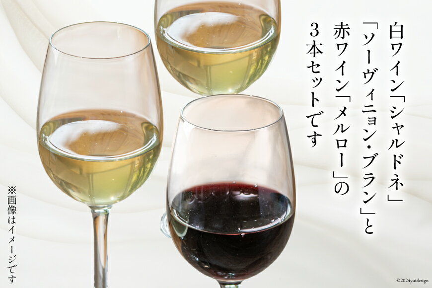 【ふるさと納税】 白 赤 ワイン 3本 セット ジョイア シャルドネ ソーヴィニヨン・ブラン メルロー 各 750ml [Poggio Verde（ポッジョ ヴェルデ） 長野県 池田町 48110663] 白ワイン 赤ワイン ワインセット わいん 国産ぶどう使用 お酒 酒 アルコール サムネイル2