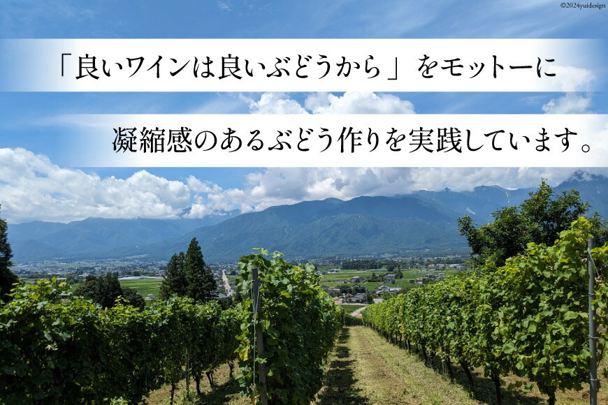 【ふるさと納税】 白 赤 ワイン 3本 セット ジョイア シャルドネ ソーヴィニヨン・ブラン メルロー 各 750ml [Poggio Verde（ポッジョ ヴェルデ） 長野県 池田町 48110663] 白ワイン 赤ワイン ワインセット わいん 国産ぶどう使用 お酒 酒 アルコール サムネイル3