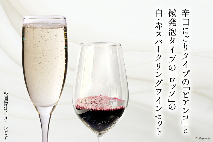 【ふるさと納税】 ワイン 白泡 赤泡 2本 セット テンポ ビアンコ ロッソ 各 750ml [Poggio Verde（ポッジョ ヴェルデ） 長野県 池田町 48110664] ワインセット 赤ワイン 白ワイン スパークリング アルコール 国産ぶどう使用 お酒 酒 アルコール サムネイル2