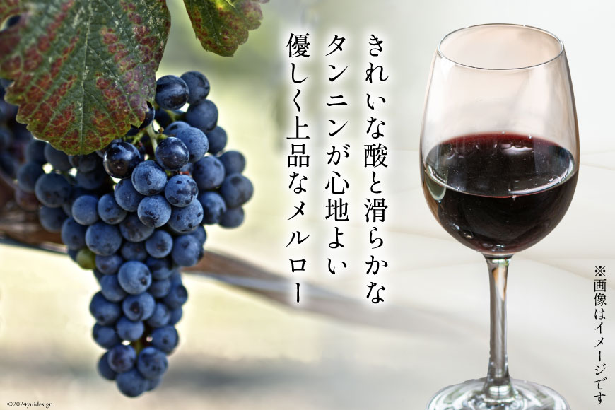 【ふるさと納税】 赤 ワイン ジョイア メルロー 750ml [Poggio Verde（ポッジョ ヴェルデ） 長野県 池田町 48110670] 赤ワイン わいん 国産ぶどう使用 お酒 酒 アルコール サムネイル2