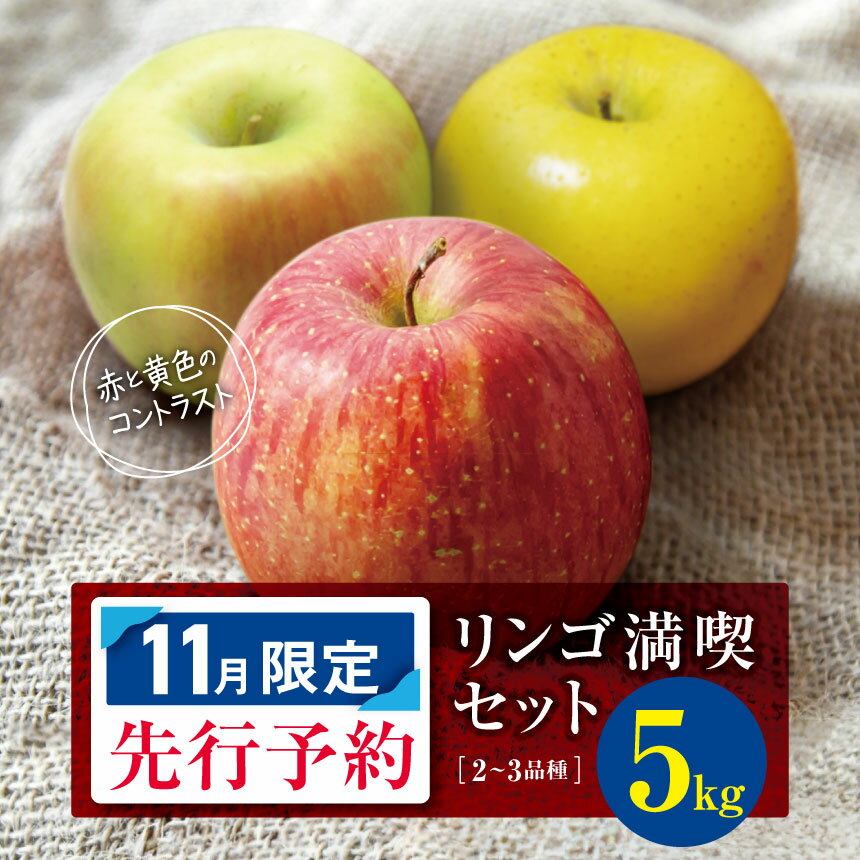 訳あり リンゴ 満喫おまかせ セット 約5kg 【 11月限定 】 | ヤマモ農園 果物 フルーツ 果実 りんご 林檎 リンゴ セット 長野県 松川村 信州