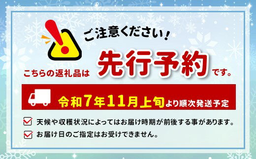 【ふるさと納税】家庭用 ぐんま名月 約5kg or 約3kg 【2025年先行予約】｜ 外川果樹園 リンゴ りんご 林檎 果物 フルーツ 果実 果汁 ぐんま名月 ぐんまめいげつ 家庭用 長野県 松川村 信州 サムネイル3
