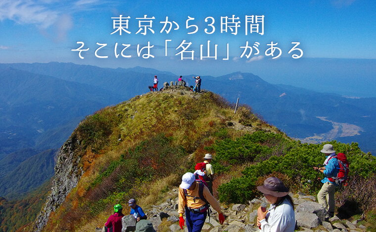 【ふるさと納税】長野県小谷村の対象施設で使える楽天トラベルクーポン 寄付額50,000円　観光地応援 温泉 観光 旅行 ホテル 旅館 クーポン チケット 予約 コロナ 支援 ふるさと納税 サムネイル3