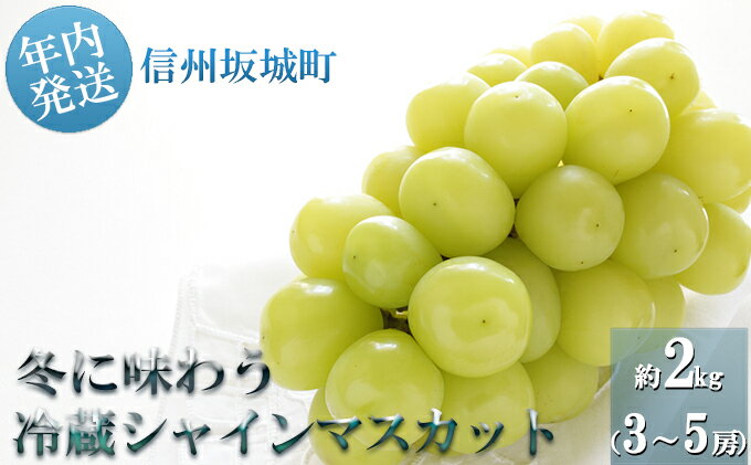 【ふるさと納税】【年内お届け】シャインマスカット 冬に味わう！冷蔵貯蔵 約2kg (3～5房) 長野 信州 坂城 冷蔵シャイン 産地直送 宮原ぶどう園 年内発送 ブドウ 葡萄 種なし フルーツ 果物 　お届け：2025年11月上旬～12月下旬 サムネイル2