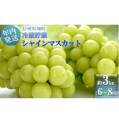 【ふるさと納税】【11・12月発送】冬に味わう！冷蔵貯蔵シャインマスカット 約3kg (6～8房) 長野 信州 坂城 冷蔵シャイン 産地直送 宮原農園　 年内発送 ぶどう ブドウ フルーツ 種なし 　お届け：2025年11月中旬～12月下旬 サムネイル2