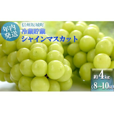 【11・12月発送】冬に味わう！冷蔵貯蔵シャインマスカット 約4kg (8～10房) 長野 信州 坂城 冷蔵シャイン 産地直送 宮原農園　 年内発送 ぶどう ブドウ フルーツ 種なし 　お届け：2025年11月中旬～12月下旬