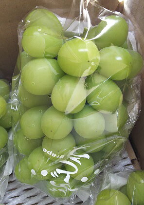 【ふるさと納税】【11・12月発送】冬に味わう！冷蔵貯蔵シャインマスカット 約4kg (8～10房) 長野 信州 坂城 冷蔵シャイン 産地直送 宮原農園　 年内発送 ぶどう ブドウ フルーツ 種なし 　お届け：2025年11月中旬～12月下旬 サムネイル3