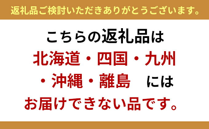 【ふるさと納税】訳あり シャインマスカット 約1.2kg 粒 柳澤果樹園 ぶどう 長野 マスカット ブドウ フルーツ 果物 シャイン 果物類 　お届け：2025年9月中旬～11月上旬 サムネイル3
