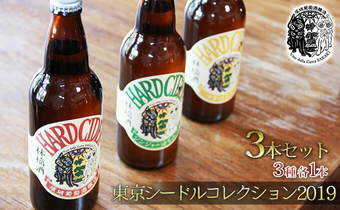 【ふるさと納税】坂城発泡林檎酒（シードル）3種・3本セット（500ml×各1本）長野 信州 お酒 ビール サムネイル2