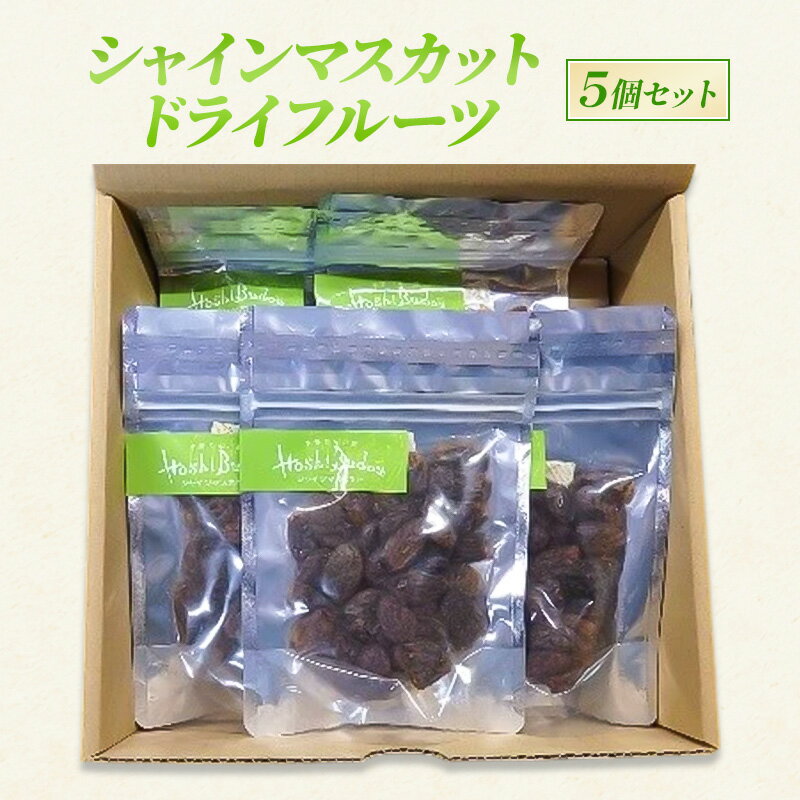 シャインマスカット ドライフルーツ 5個 セット 長野 信州 坂城