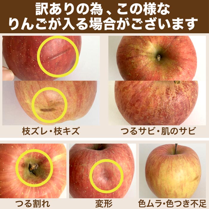 【ふるさと納税】【訳あり】 サンふじ 選べる内容量 約3kg 6～12玉 約5kg 10～23玉 約10kg 24～46玉 ［小布施屋］ りんご 林檎 リンゴ 不揃い 規格外 果物 くだもの フルーツ 長野県 数量限定 生産者応援 支援 家庭用 令和7年産 【2025年11月下旬～2026年3月下旬発送】 サムネイル3