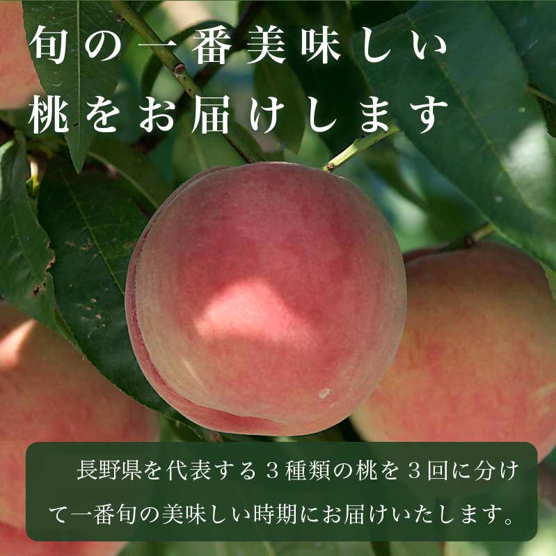 【ふるさと納税】【3回定期便】小布施屋の桃食べ比べ定期便 約1.8kg×3回 ［小布施屋］ もも モモ フルーツ 果物 先行予約 あかつき なつっこ 川中島白桃 だて白桃 1.8kg 3回 長野県産 信州産 クール便 冷蔵便 令和8年産 【2026年7月末〜9月上旬発送】 - 画像2