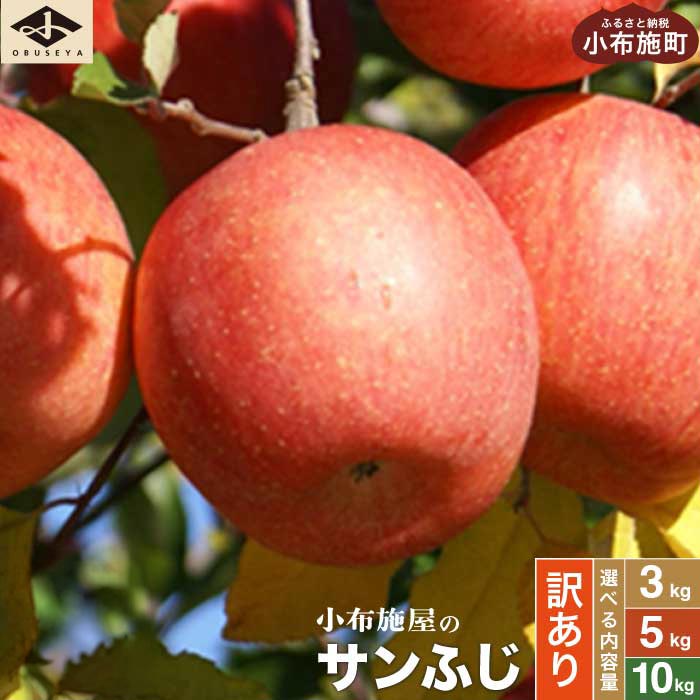 【訳あり】 サンふじ 選べる内容量 約3kg 6～12玉 約5kg 10～23玉 約10kg 24～46玉 ［小布施屋］｜りんご 林檎 リンゴ 不揃い 規格外 果物 くだもの フルーツ 長野県 数量限定 生産者応援 支援 家庭用 令和7年産 【2026年4～5月発送】