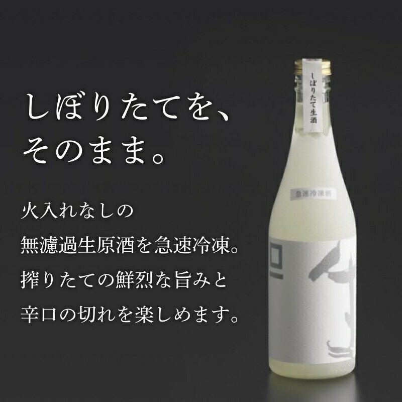 【ふるさと納税】急速冷凍酒 スクウェアワン 500ml［桝一市村酒造場］ お酒 日本酒 地酒 ご当地 生酒 プレゼント 贈答 長野県 信州 お取り寄せ 蔵元直送 辛口 サムネイル2