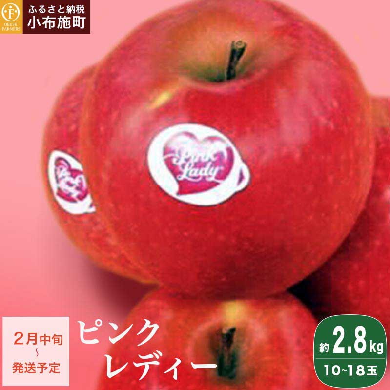 ピンクレディー 約2.8kg 10～18玉［ おぶせファーマーズ ］りんご 林檎 リンゴ フルーツ 果物 くだもの 先行予約 長野産 信州産 【2026年2月中旬～順次発送】